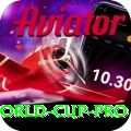 1992 world cup Slot Machine Mega