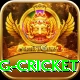 1st inning betting cricket Games (Casino & Earning) VIP v5.2.1