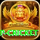 2022 world cup cricket Games (Casino & Earning) Master v3.0.8