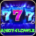 andy flower Pro Max v2.7.8