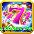 bangladesh cricket live Gold Edition v4.0.4