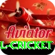 bbl cricket Max Pro v4.1.0