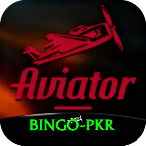 Bingo PKR Pro1 v4.8.5 - 2