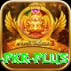 Bingo PKR Super - Casino & Slots