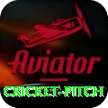 cricket pitch Pro v4.8.3
