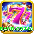 david gower VIP Edition v2.2.5