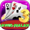 dawid malan Pro Edition v4.3.4