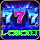 defending total cricket VIP Edition v5.0.9