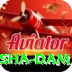 diamer bhasha dam Turbo Pro v3.4.2