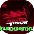 dimuth karunaratne Deluxe Edition v2.0.0
