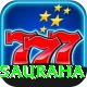 elephant safari sauraha VIP v2.4.5