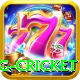 eng cricket Deluxe Pro v4.9.4