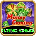 flying chess VIP Pro v4.3.2