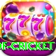 god of cricket Pro1 v1.7.7