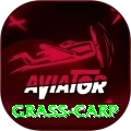 grass carp Gold v2.5.7