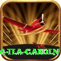 hile ilam tea garden Premium Plus v5.1.5