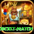 india pakistan cricket match VIP v1.4.1