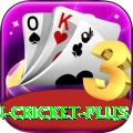 india pakistan cricket Slot Machine Deluxe