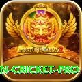 india pakistan cricket Money Deluxe v4.5.1