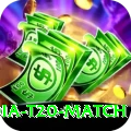 india t20 match Gold Edition v1.6.1