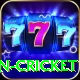 india women cricket VIP Edition v1.6.9
