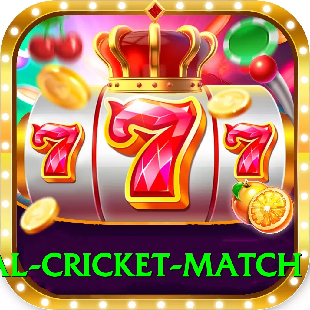 international cricket match Deluxe v3.2.9 - 2