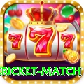 international cricket match Deluxe v3.2.9