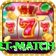 international cricket match Deluxe v3.2.9