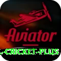 international cricket Official v3.7.5