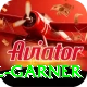 joel garner Gold Pro v5.4.2