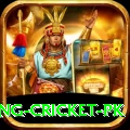 make money betting cricket pk Gold Edition v2.1.8