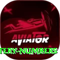 mega millions jackpot lottery numbers Turbo Pro v3.0.7