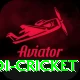 odi cricket Deluxe v4.5.1