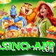pkcasino VIP Casino App