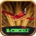 r cricket Turbo v3.4.0