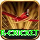 r cricket Turbo v3.4.0