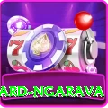 richard ngarava Turbo Pro v3.8.0
