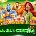 risk free bet cricket Pro Max v3.0.6