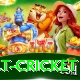 risk free bet cricket Pro Max v3.0.6