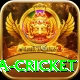 sa cricket Gold Edition v3.5.0