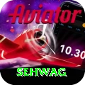 sehwag Apps (Tools & Injectors) VIP v4.4.2
