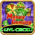 smartcric live cricket Turbo Pro v2.6.3