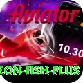 sturgeon fish Bonus Gold v2.2.1