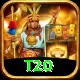 t20 Premium Plus v2.9.0
