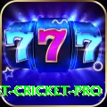 test cricket Casino VIP v1.0.1