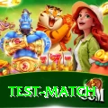 test match Plus Pro v5.4.2