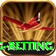 turkey super lig betting VIP Pro v4.0.8