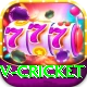 v cricket Master v5.4.3