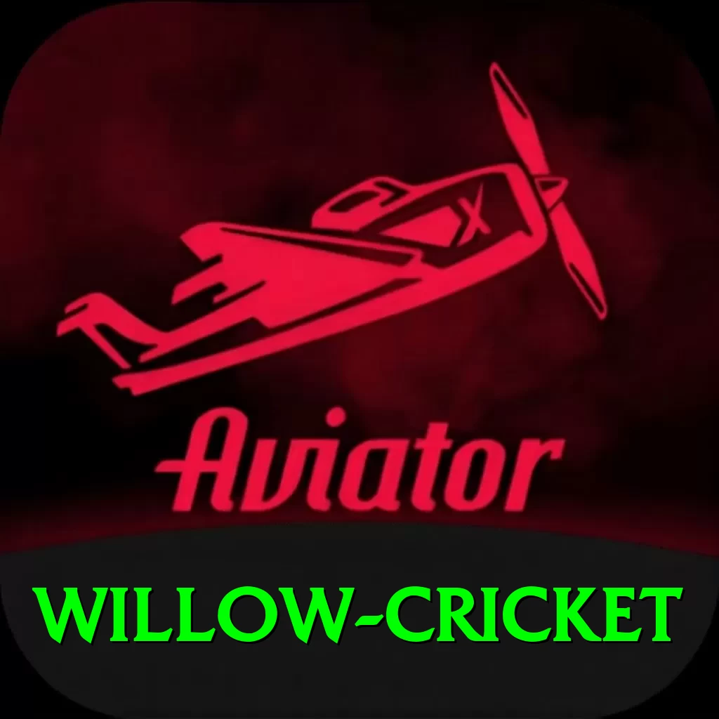 willow cricket Deluxe v4.3.8 - 2