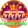willow cricket King Latest v4.7.7